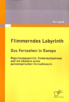 Flimmerndes Labyrinth: Das Fernsehen in Europa ¿ Regulierungspolitik, Fördermaßnahmen und die Chancen eines paneuropäischen Fernsehkanals - Ingold, Eva