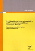 Praxisbegleitung in der Gesundheits- und Krankenpflegeausbildung: Utopie oder Realität?