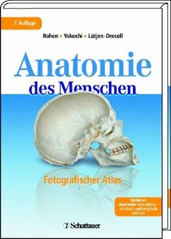Anatomie des Menschen - Rohen, Johannes W.;Yokochi, Chihiro;Lütjen-Drecoll, Elke
