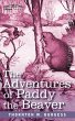 The Adventures of Paddy the Beaver - Bild 1