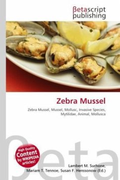 Zebra Mussel