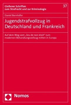 Jugendstrafvollzug in Deutschland und Frankreich - Bornhöfer, Daniel