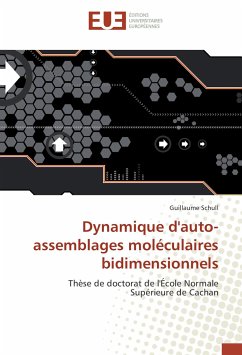 Dynamique d'auto-assemblages moléculaires bidimensionnels - Schull, Guillaume