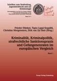 Kriminalität, Kriminalpolitik, strafrechtliche Sanktionspraxis und Gefangenenraten im europäischen Vergleich