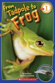 From Tadpole to Frog (Scholastic Reader, Level 1) From Tadpole to Frog (Scholastic Reader, Level 1)