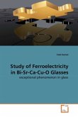 Study of Ferroelectricity in Bi-Sr-Ca-Cu-O Glasses