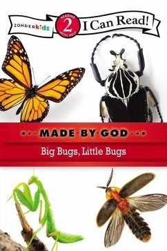 Big Bugs, Little Bugs - Zondervan