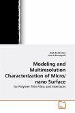 Modeling and Multiresolution Characterization of Micro/nano Surface