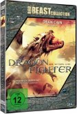 Dragon Fighter