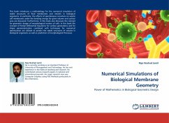 Numerical Simulations of Biological Membrane Geometry