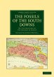 The Fossils of the South Downs - Bild 1