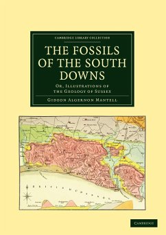 The Fossils of the South Downs - Mantell, Gideon Algernon