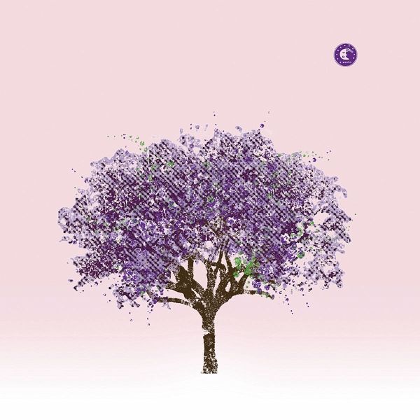 Tomorrow Morning Tomorrow Morning