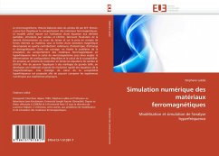 Simulation numérique des matériaux ferromagnétiques - Labbé, Stéphane