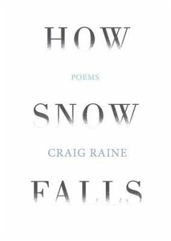 How Snow Falls - Raine, Craig