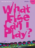 What Else Can I Play? Flute Grade 3 What Else Can I Play? Flute Grade 3