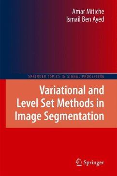 Variational and Level Set Methods in Image Segmentation - Mitiche, Amar;Ayed, Ismail Ben