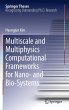 Multiscale and Multiphysics... - Bild 1