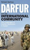 Darfur and the International Community