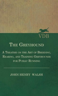 The Greyhound - A Treatise On The Art Of Breeding, Rearing, And Training Greyhounds For Public Running - Their Diseases And Treatment - Stonehenge