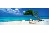 Divi Divi Tree Puzzle - Bild 1