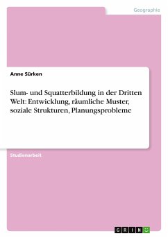 Slum- und Squatterbildung in der Dritten Welt: Entwicklung, räumliche Muster, soziale Strukturen, Planungsprobleme - Sürken, Anne