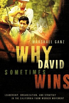 Why David Sometimes Wins - Ganz, Marshall