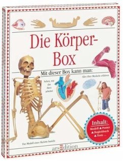 Die Körper-Box