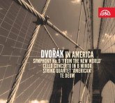 Dvorak In Amerika