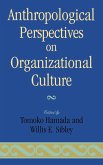 Anthropological Perspectives on Organizational Culture