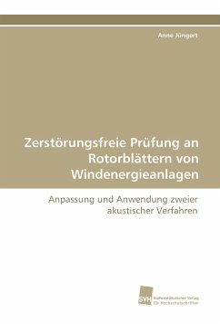 Zerstörungsfreie Prüfung an Rotorblättern von Windenergieanlagen - Jüngert, Anne