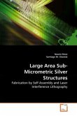Large Area Sub-Micrometric Silver Structures