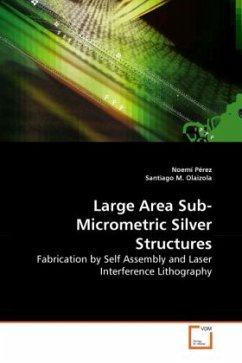 Large Area Sub-Micrometric Silver Structures - Pérez, Noemí;Olaizola, Santiago M.