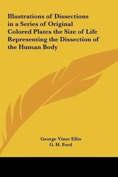 Illustrations of Dissections in a Series of Original Colored Plates the Size of Life Representing the Dissection of the Human Body - Ellis, George Viner; Ford, G. H.