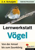 Lernwerkstatt Vögel Von der Amsel bis zum Zaunkönig