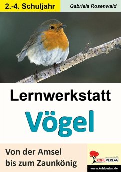 Lernwerkstatt Vögel Von der Amsel bis zum Zaunkönig - Rosenwald, Gabriela