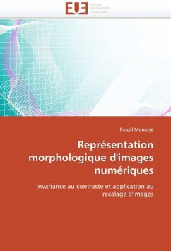 Représentation Morphologique d'Images Numériques - Monasse, Pascal