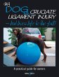 My Dog Has Cruciate Ligament Injury -... - Bild 1