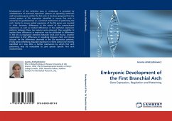 Embryonic Development of the First Branchial Arch - Andryszkiewicz, Joanna