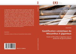 Gazéification catalytique du Miscanthus X giganteus - Michel, Rudy