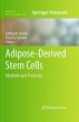 Adipose-Derived Stem Cells - Bild 1
