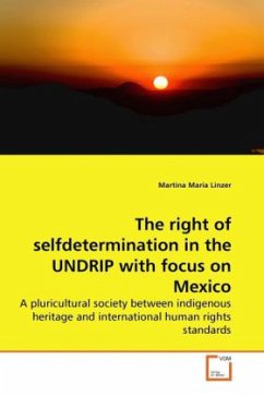 The right of selfdetermination in the UNDRIP with focus on Mexico - Linzer, Martina Maria