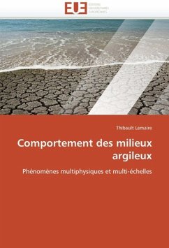 Comportement Des Milieux Argileux - Lemaire, Thibault