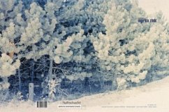 Cover Blinde Flecken