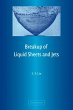 Breakup of Liquid Sheets and Jets - Bild 1