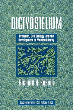 Dictyostelium - Kessin, Richard H.