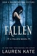 Fallen - Bild 1