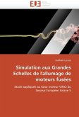 Simulation Aux Grandes Echelles de L'Allumage de Moteurs Fusees