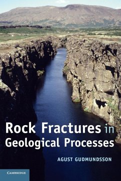 Rock Fractures in Geological Processes - Gudmundsson, Agust (Royal Holloway, University of London)