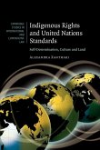 Indigenous Rights and United Nations Standards